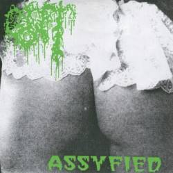 Gut (GER-2) : Assyfied - Pussyfied
